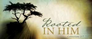rooted-in-him